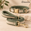 AiewmFan™ Padded Collar & Leash Set