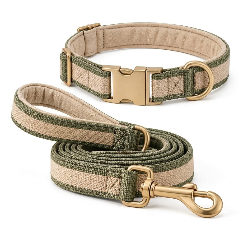 AiewmFan™ Padded Collar & Leash Set